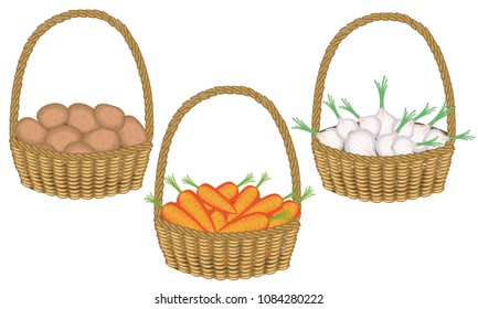 Collection.Soran is a rich harvest. In a beautiful wicker basket fresh potatoes, onions, carrots. Vegetables are needed for cooking delicious food. Vector illustration set.
