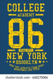 College Academy graphic design vector art