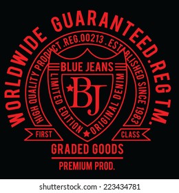 College denim typography, t-shirt graphics, vectors 