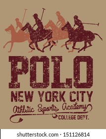 college polo player vector art