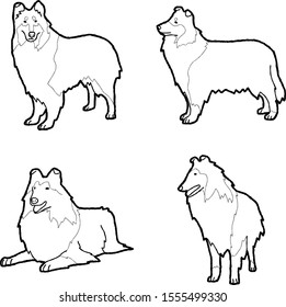 Collie Animal Vector Illustration Hand Drawn Cartoon Art