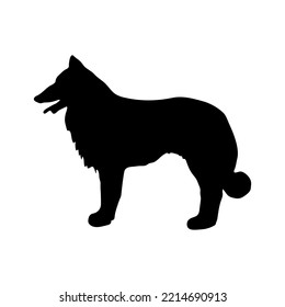 Collie. Black silhouette of a dog on a white background. Vector illustration