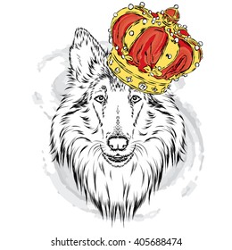Collie in the crown. Dog. Vector illustration. King. 