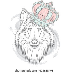 Collie in the crown. Dog. Vector illustration. King. 