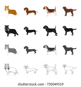 Collie, dachshund, beagle, and other web icon in cartoon style.Dog, animal, domestic, icons in set collection.