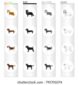 Collie, dachshund, beagle, and other web icon in cartoon style.Dog, animal, domestic, icons in set collection.