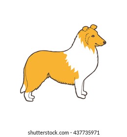 Collie dog breed. Outline with color background. Vector illustration.