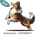 Collie Dog Catching a Frisbee isolated