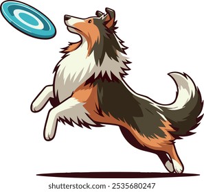 Collie Dog Catching a Frisbee isolated