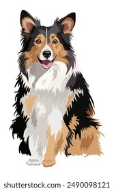 Collie dog. Cute fluffy pet. Vector isolated illustation.