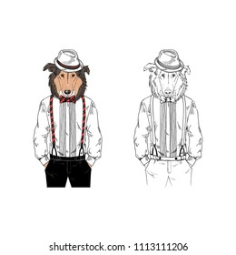 Collie dog dressed up  in, anthropomorphic animal illustration