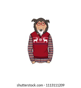 Collie dog dressed up in jacquard pullover, anthropomorphic animal illustration