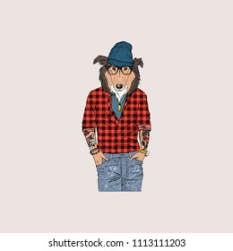 Collie dog dressed up in modern urban style, anthropomorphic animal illustration