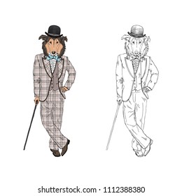 Collie dog dressed up in vintage suite and bowler hat, anthropomorphic animal illustration