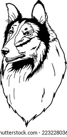 Collie Dog Head Vector Illustration