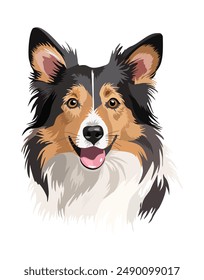 Collie dog head. Vector isolated illustation.