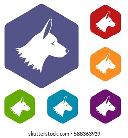 Collie dog icons set rhombus in different colors isolated on white background