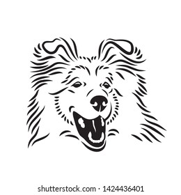 Collie dog - isolated vector illustration