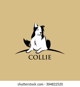 Collie dog - vector illustration