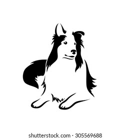 Collie dog - vector illustration