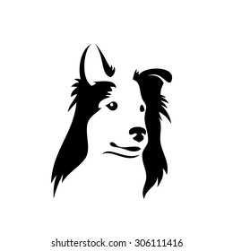 Collie dog - vector illustration
