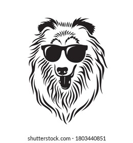 Collie dog wearing sunglasses  isolated vector illustration
