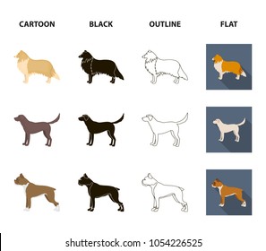 Collie, labrador, boxer, poodle. Dog breeds set collection icons in cartoon,black,outline,flat style vector symbol stock illustration web.