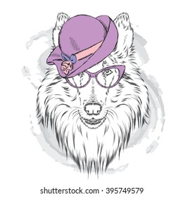 Collie in the ladies' hat and sunglasses . Vector illustration.
