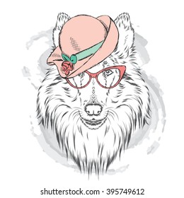 Collie in the ladies' hat and sunglasses . Vector illustration.
