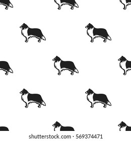 Collie vector icon in black style for web
