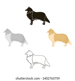 Collie vector icon in cartoon,black style for web