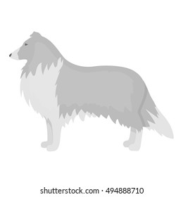 Collie vector icon in monochrome style for web