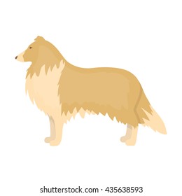 Collie vector illustration icon in cartoon design