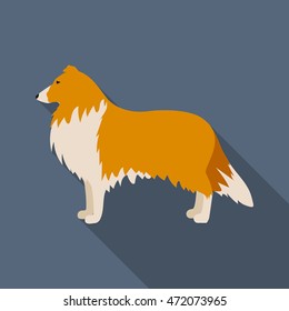 Collie vector illustration icon in flat design