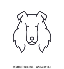 collie  vector line icon, sign, illustration on background, editable strokes