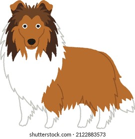 Collies form a distinctive type of herding dogs, including many related landraces and standardized breeds. Collies are medium-sized, fairly lightly-built dogs, with pointed snouts.