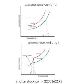 colligative properties graph vector illustration, elevation of boiling point and depression of freezing point, solution