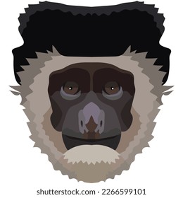 Colobus face. The muzzle of a monkey is depicted. Bright portrait on a white background. predictive graphics. animal logo.