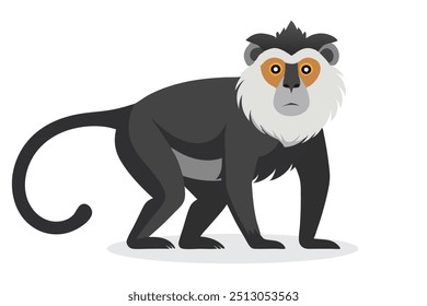 
Colobus Monkey animal isolated flat vector illustration on white background.