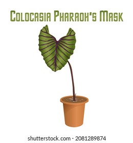 colocasia pharaoh's mask tree green vector background white