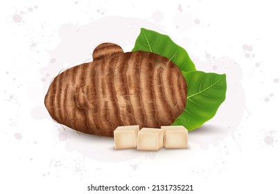 Colocasia root vector illustration with colocasia vegetable cubes pieces and leaves