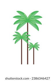 colombia wax palm del quindio illustration isolated