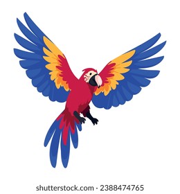 colombian culture macaw illustration design