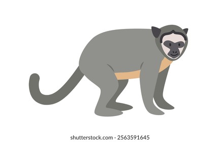 Colombian night monkey cartoon clipart. Owl monkey vector illustration in flat style. New World monkey. Hand-drawn wild animal concept