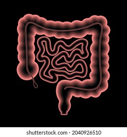 Colon anatomical poster. Small and large intestine in the human body. Gastrointestinal disease or medical exam in gastroenterology clinic. Digestive tract, medical scan of bowel 3D vector illustration