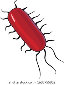 Colón bacilo. El tracto digestivo o el canal digestivo muestran bacterias, gérmenes o células de virus.