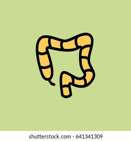 colon icon