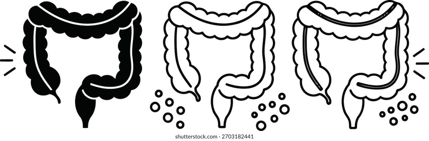 Conjunto de iconos de colon de anatomía del intestino Grande aislado sobre fondo transparente