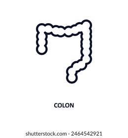 colon icon. Thin line colon icon from medical and healthcare collection. Outline vector isolated on white background. Editable colon symbol can be used web and mobile