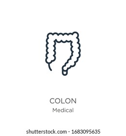 Colon icon. Thin linear colon outline icon isolated on white background from medical collection. Line vector sign, symbol for web and mobile